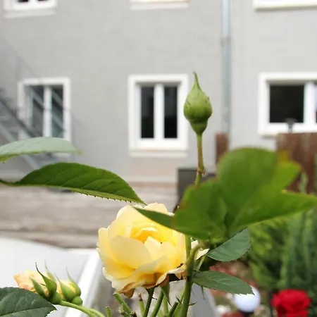 Apartman Wjh Apartmentvermietung