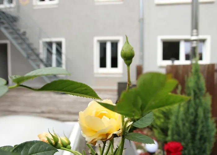 公寓 Wjh Apartmentvermietung